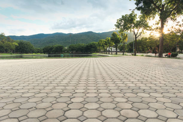 Best Residential Paver Driveway  in Springdale, NJ